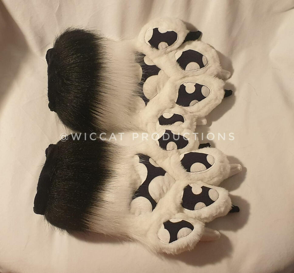 Handpaws #1